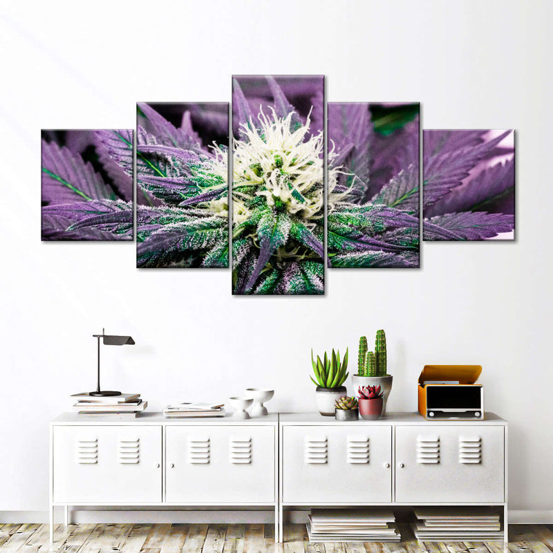 Rare Cannabis Plant Wall Art