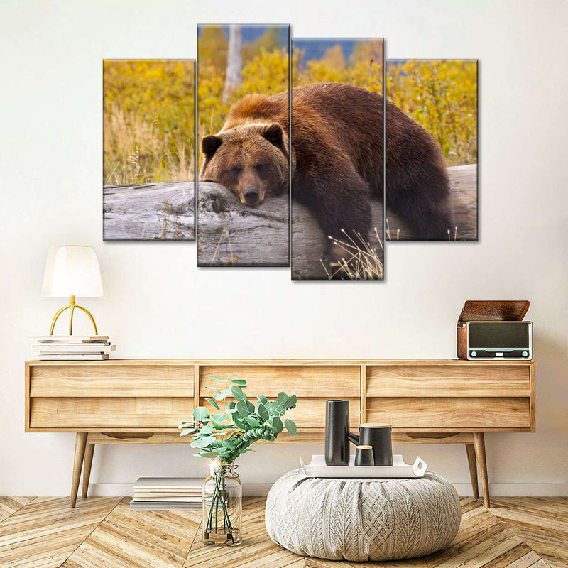 Resting Grizzly Bear Wall Art