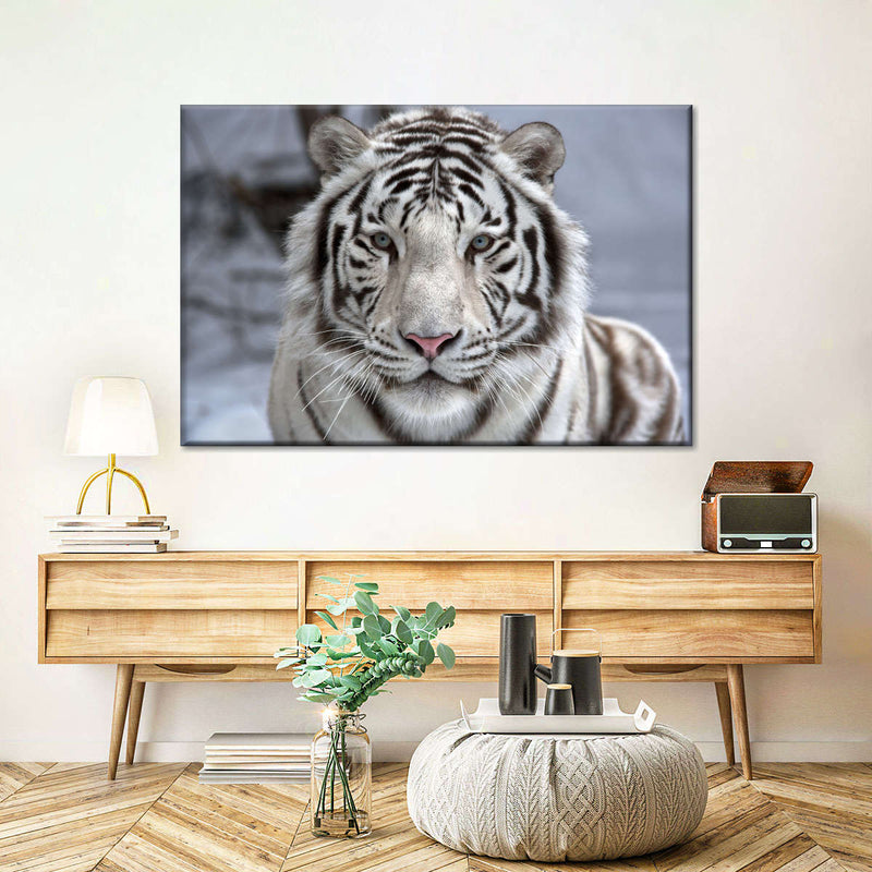 Endangered White Tiger Wall Art