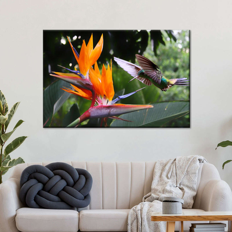 Flying Hummingbird Wall Art