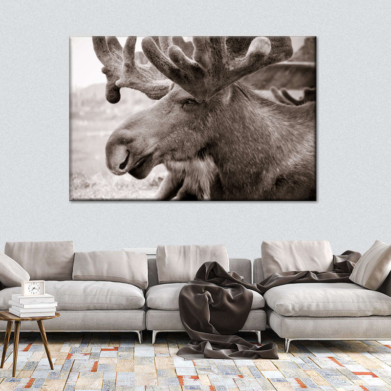 Moose Head Wall Art