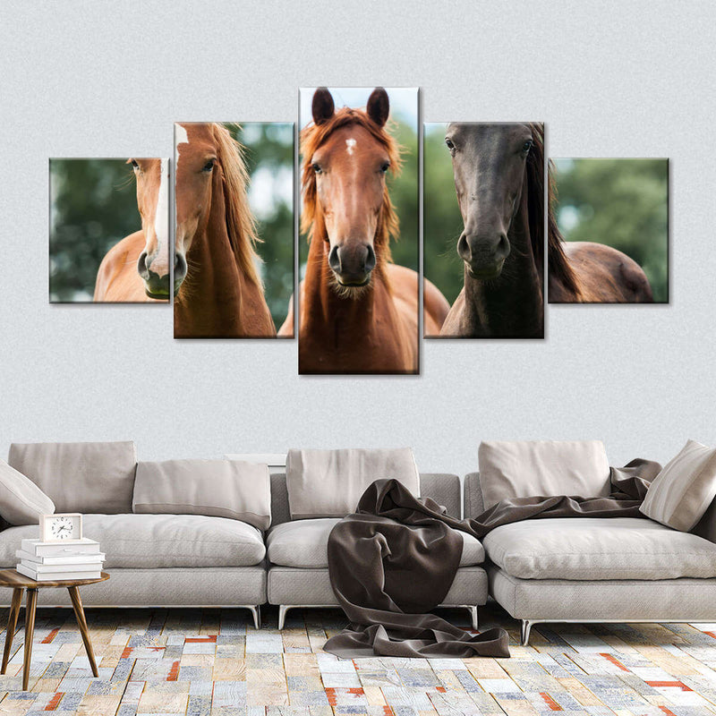 Young Horses Wall Art