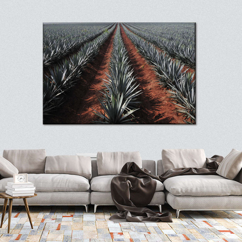 Agave Field Wall Art