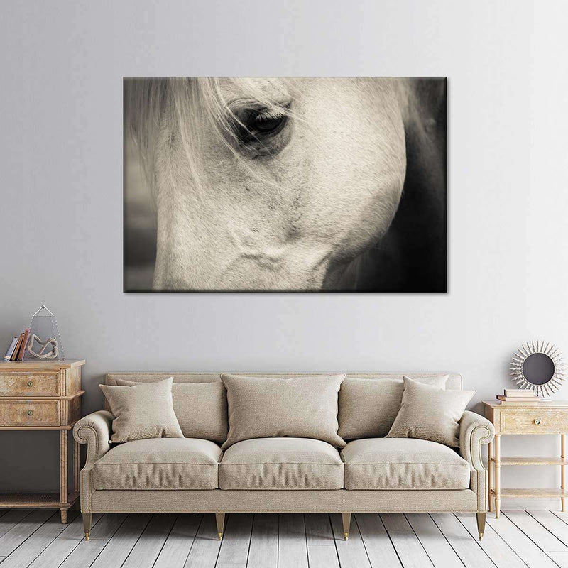 White Horse Eye Wall Art