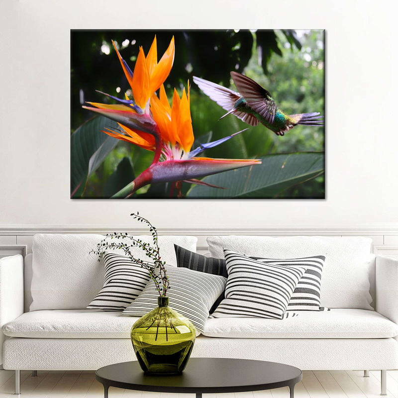 Flying Hummingbird Wall Art