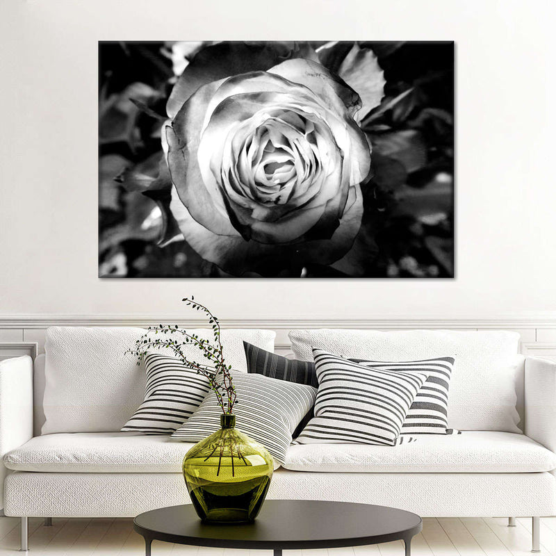 Monochromatic Rose Wall Art