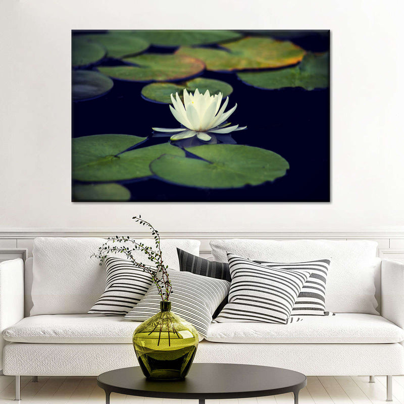 Lotus And Leaves Wall Art