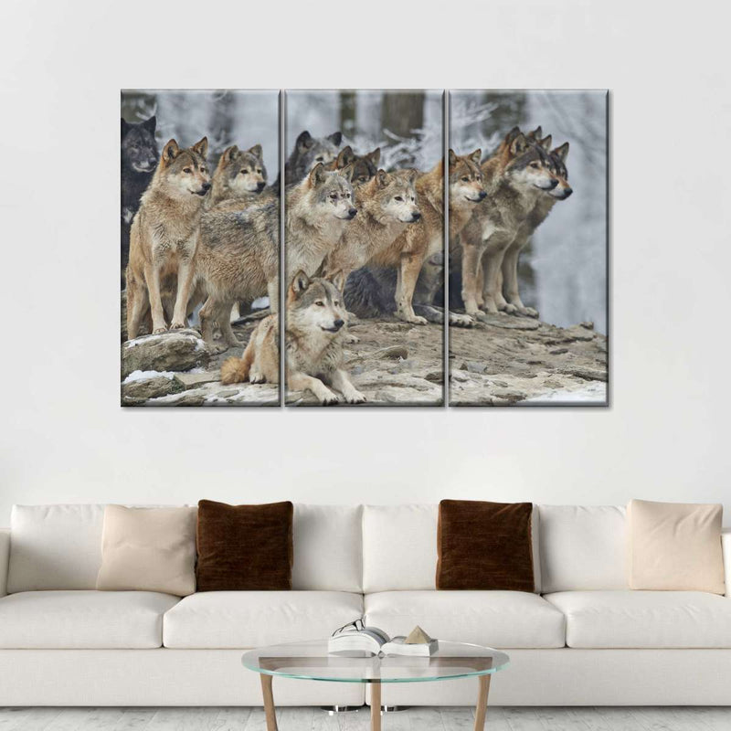 Wild Wolf Pack Wall Art