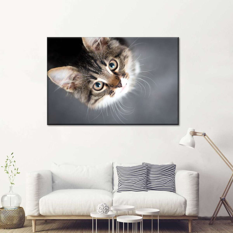 A Cat Wall Art