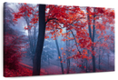 Foggy Red Maple Forest Wall Art