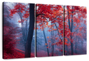 Foggy Red Maple Forest Wall Art