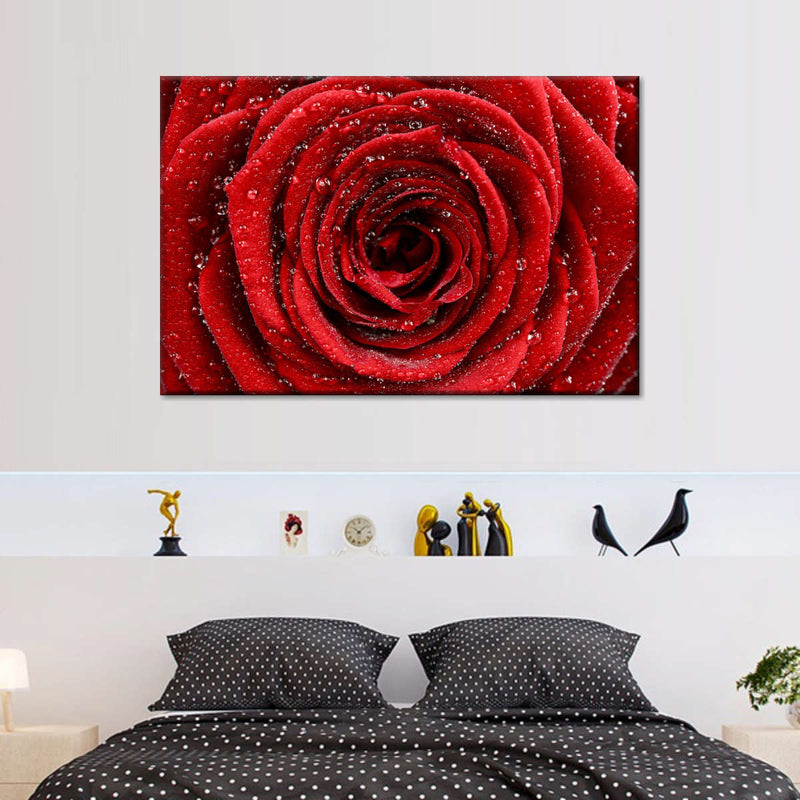 Damp Red Rose Wall Art