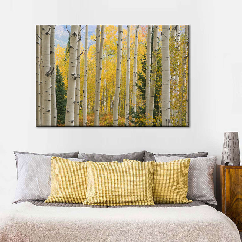 Elk Mountain Aspen Trees Wall Art