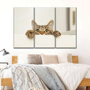 Peeking Young Cat Wall Art