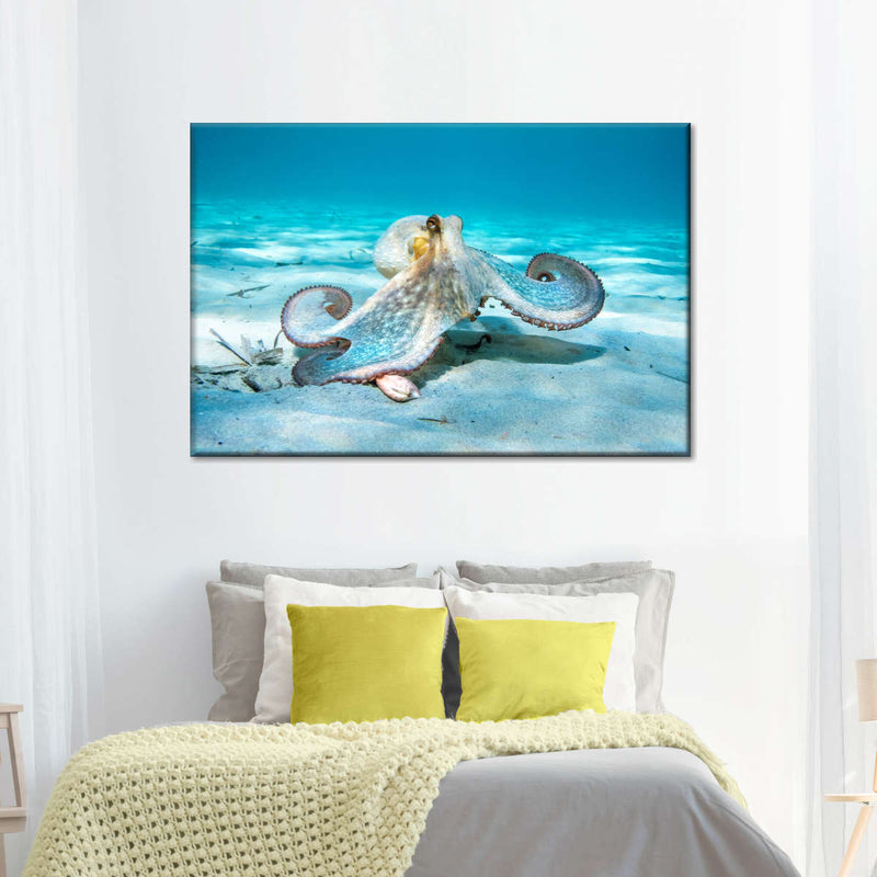 Roaming Octopus Wall Art