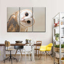 Barn Owl Gaze Wall Art