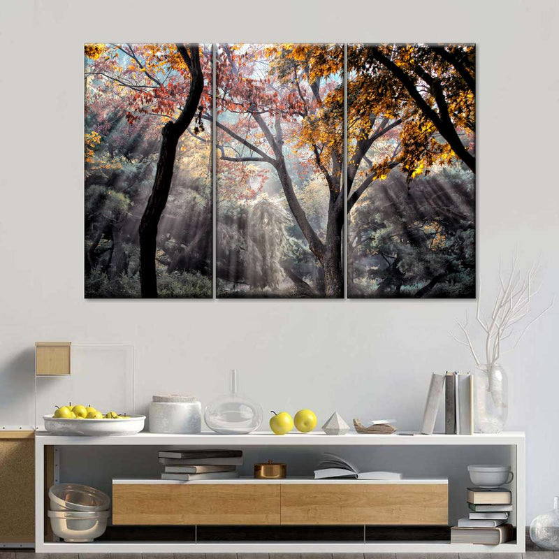 Forest Sun Rays Wall Art