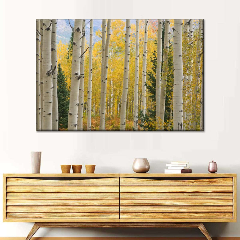 Elk Mountain Aspen Trees Wall Art