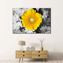 Gerbera Daisy Pop Wall Art