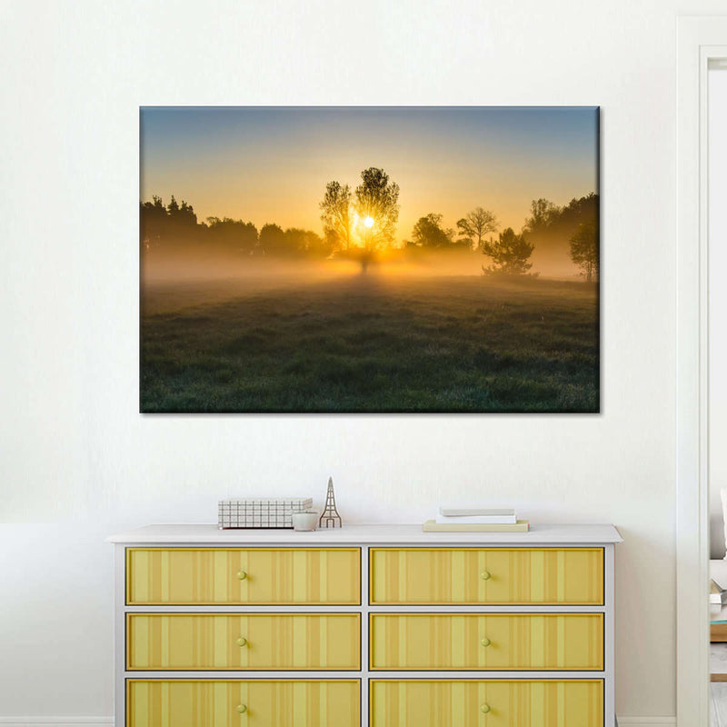 Misty Meadow At Sunrise Wall Art