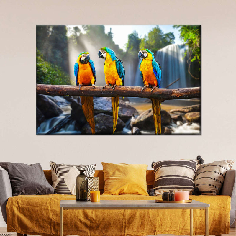 Macaw Friends Wall Art