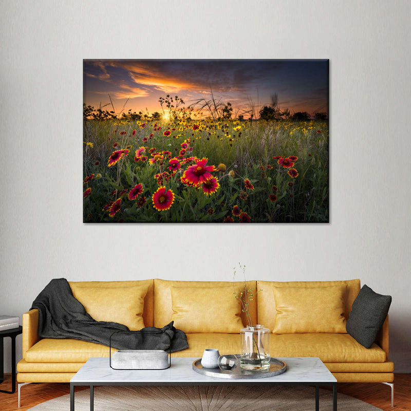 Dawn At Flower Field Wall Art