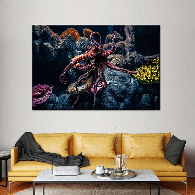 Octopus Habitat Wall Art