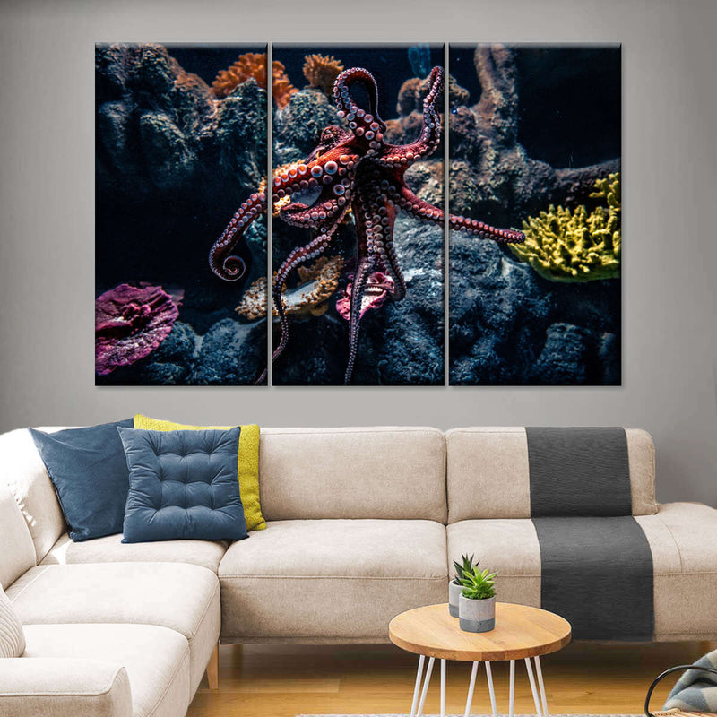 Octopus Habitat Wall Art