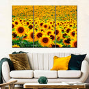 Endless Sunflower Field Wall Art