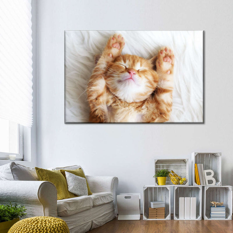 Sleepy Kitty Wall Art