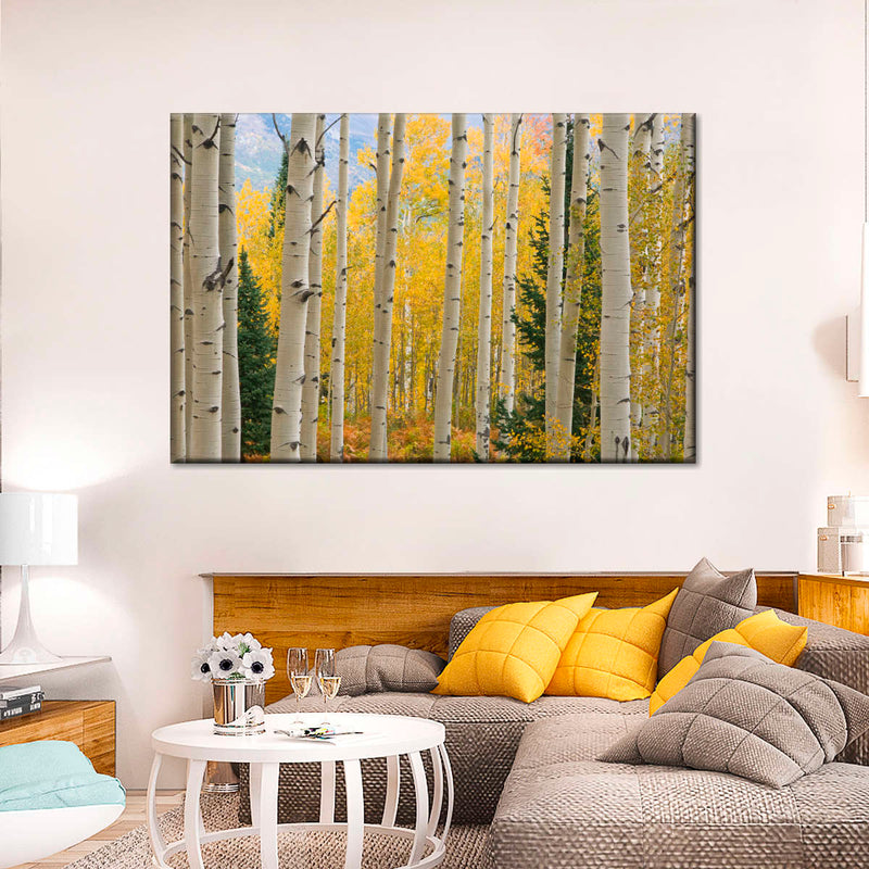 Elk Mountain Aspen Trees Wall Art