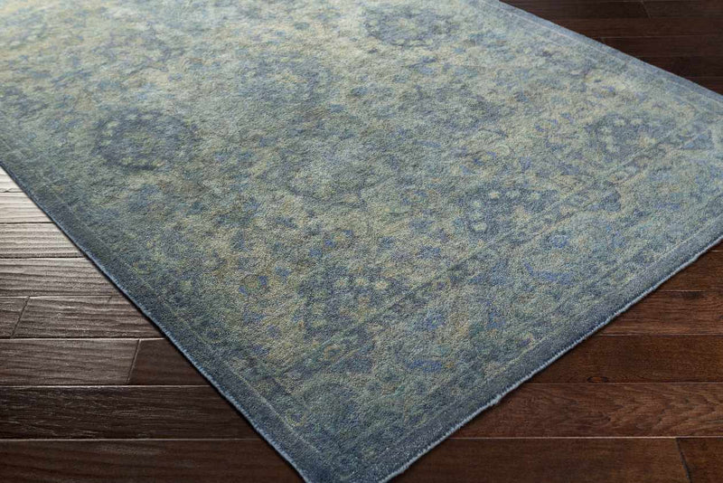 Didier Traditional Aqua Area Rug