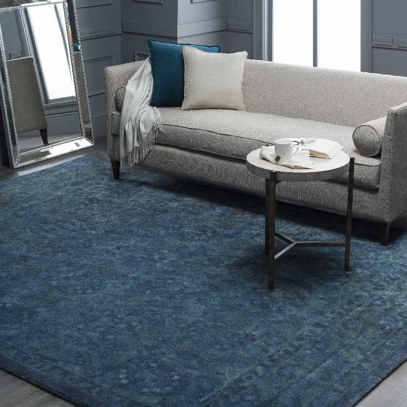 Didier Traditional Aqua Area Rug