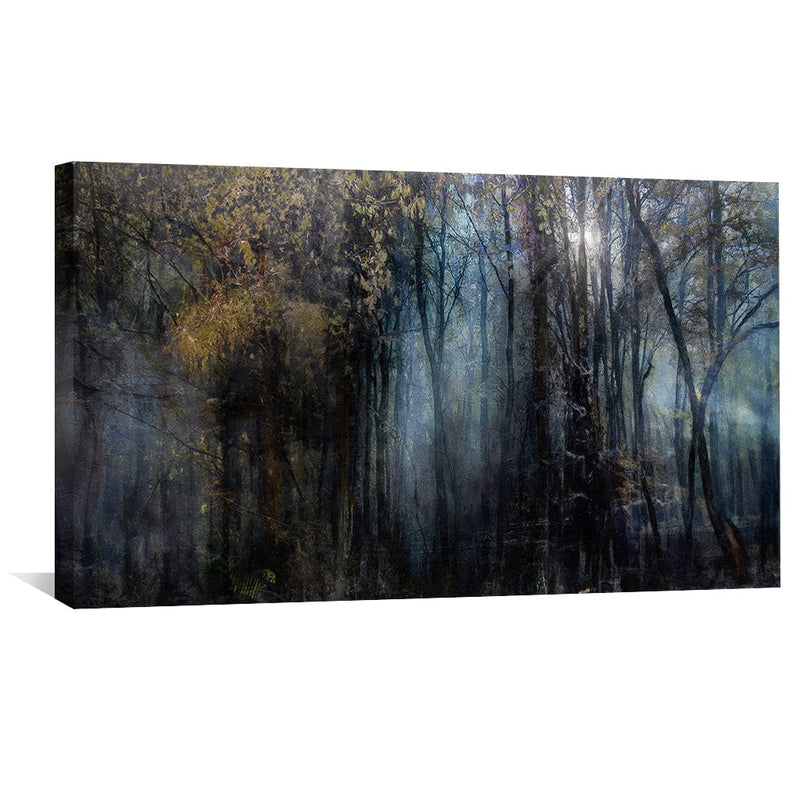 Mysterious Trees Canvas