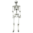 5.4 Feet Halloween Skeleton Life Size Realistic Full Body Hanging by LJGDeals