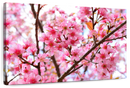 Oriental Cherry Blossom Wall Art