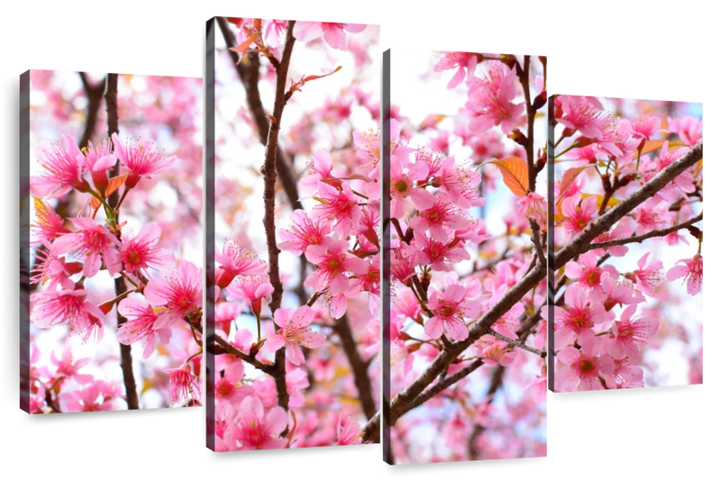 Oriental Cherry Blossom Wall Art