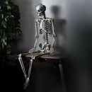 5.4 Feet Halloween Skeleton Life Size Realistic Full Body Hanging by LJGDeals
