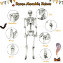 5.4 Feet Halloween Skeleton Life Size Realistic Full Body Hanging by LJGDeals
