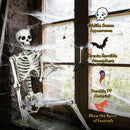 5.4 Feet Halloween Skeleton Life Size Realistic Full Body Hanging by LJGDeals