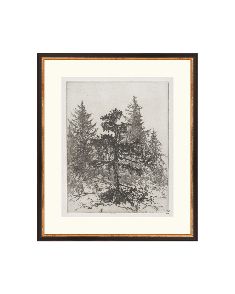 Pine Etching