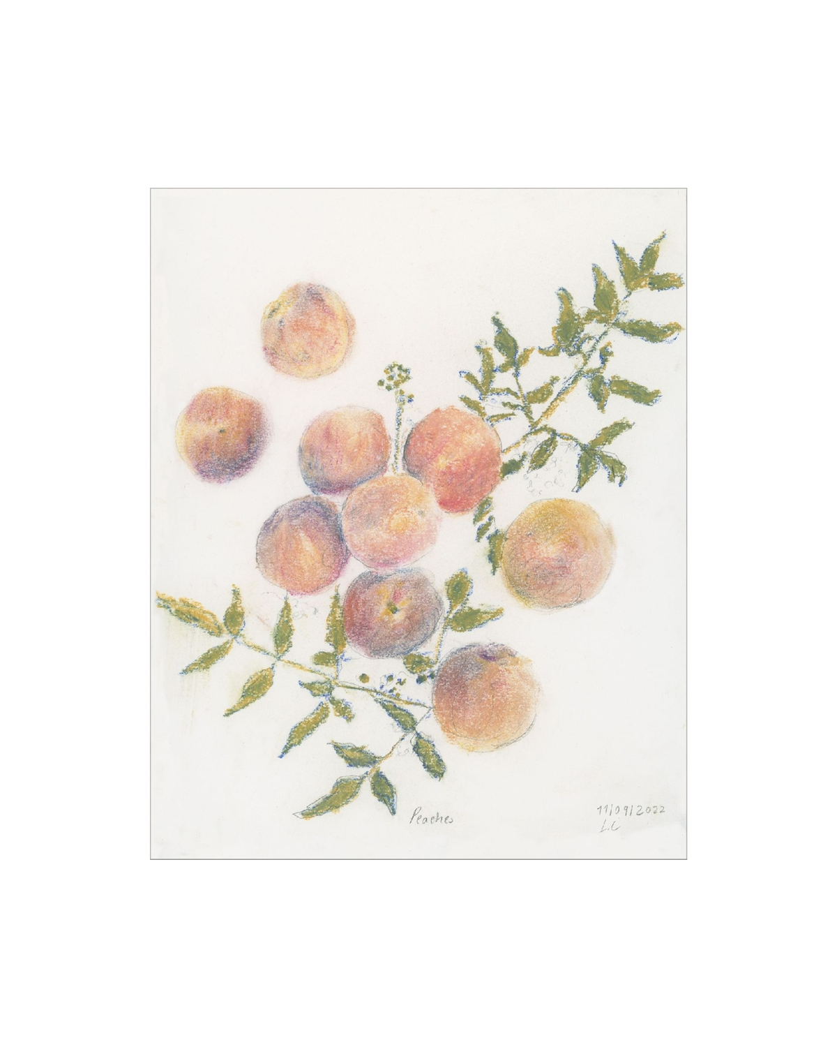 Pastel Peaches, photo 9 of 35