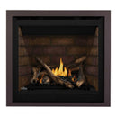 Napoleon Altitude X Direct Vent 36" Natural Gas Fireplace [AX36NTE-1] (SAK61243)