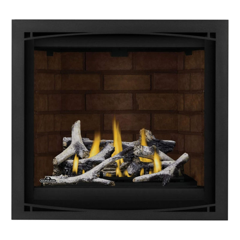 Napoleon Altitude X Direct Vent 36" Natural Gas Fireplace [AX36NTE-1] (SAK61243)