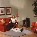 Napoleon Arlington 20 Cast Iron Millivolt Ignition Majolica Brown Natural Gas Stove, 19" [GDS20NNSB] (SAK43798)