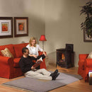 Napoleon Arlington 20 Cast Iron Millivolt Ignition Natural Gas Stove, 19" [GDS20NSB] (SAK93714)