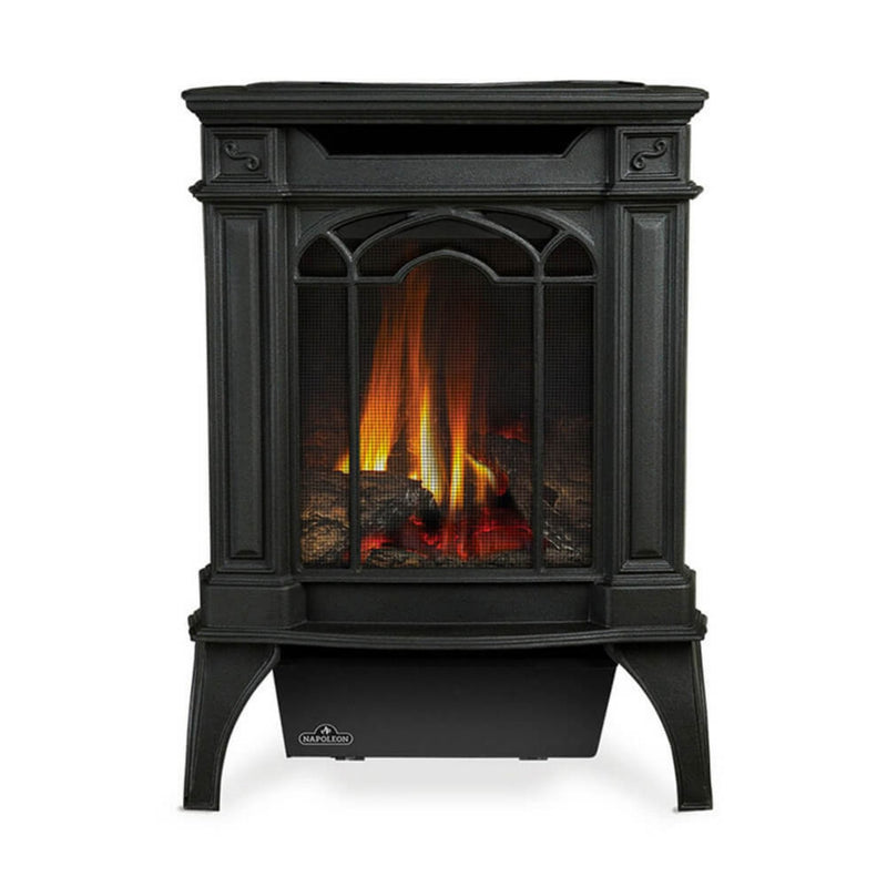Napoleon Arlington 20 Cast Iron Direct Vent Metallic Black Natural Gas Stove, 19" [GDS20NE] (SAK18258)