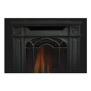 Napoleon Arlington 20 Cast Iron Direct Vent Metallic Black Natural Gas Stove, 19" [GDS20NE] (SAK18258)