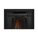 Napoleon Arlington 20 19-Inch Cast Iron Direct Vent Metallic Black Natural Gas Stove [GDS20NE] (SAK18258)