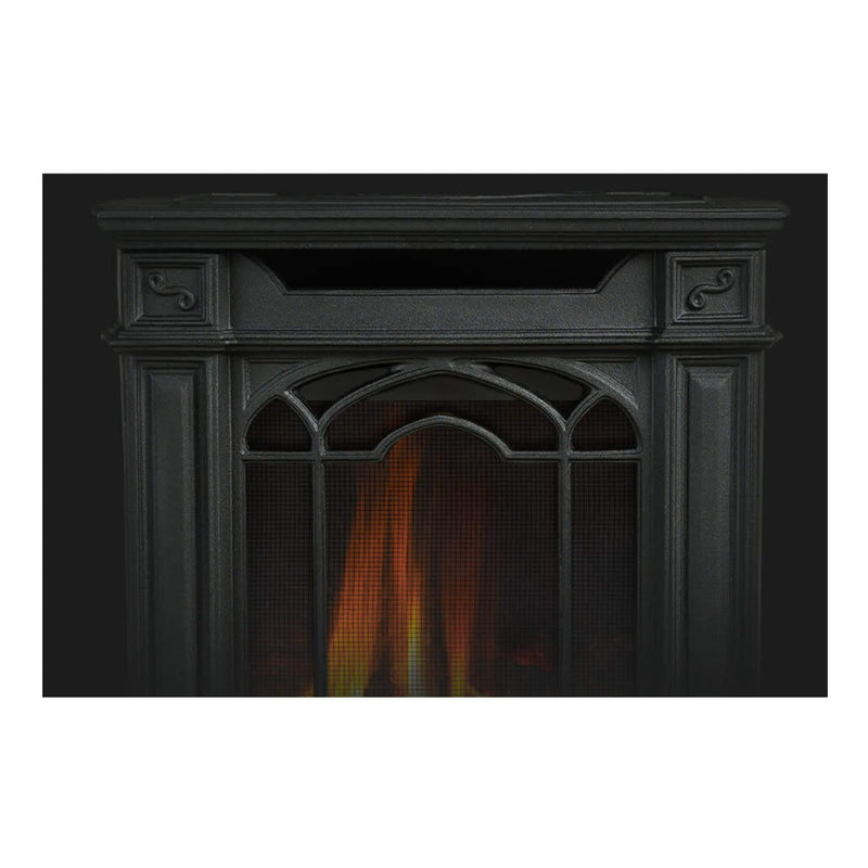 Napoleon Arlington 20 Cast Iron Direct Vent Metallic Black Natural Gas Stove, 19" [GDS20NE] (SAK18258)